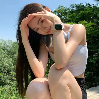 我私人的爱达荷