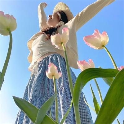 豹子胆